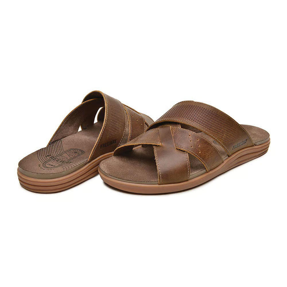 Zapatilla Urbano Masculino Freeway Havana